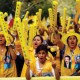The MEK Muddle 